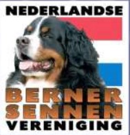 (c) Bernersennenhond.nl